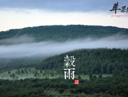 谷雨吃什么好_谷雨时间_谷雨养生_谷雨是什么时候