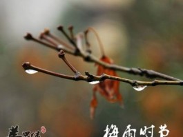 梅雨季节养生保健要注意三个方面问题