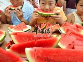 夏季降暑是关键