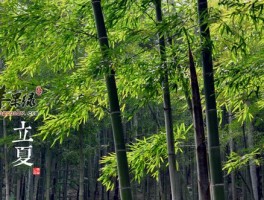 立夏吃什么好_立夏时间_立夏养生_立夏是什么时候